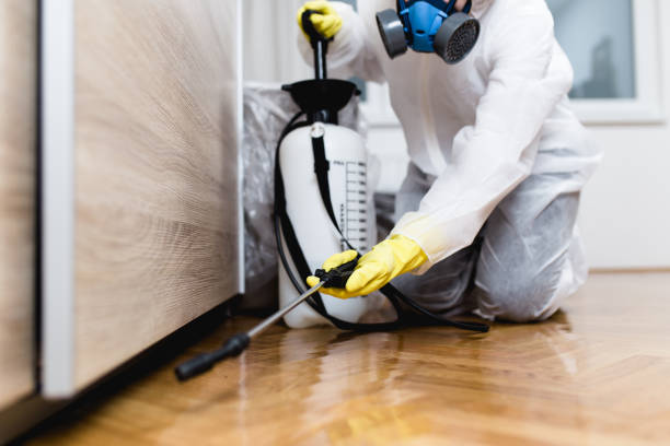 Best Affordable Pest Control Services  in Crestwood, IL