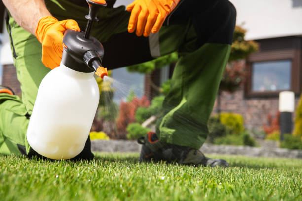 Best Commercial Pest Control Services  in Crestwood, IL