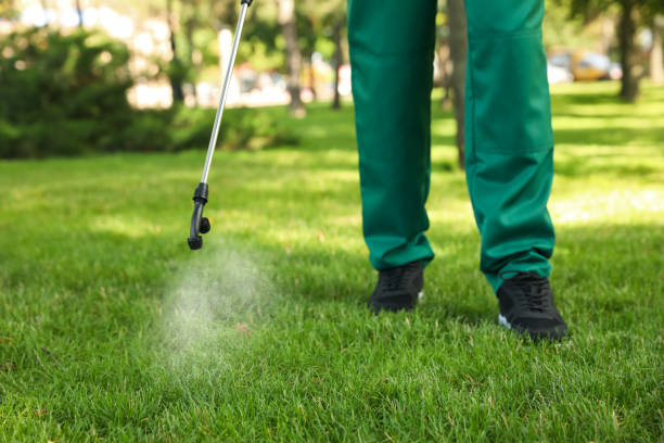 Pest Control for Restaurants in Crestwood, IL