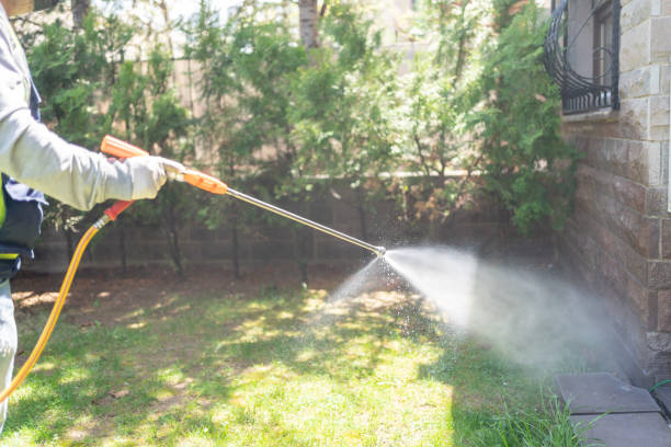 Best Best Pest Control Companies  in Crestwood, IL