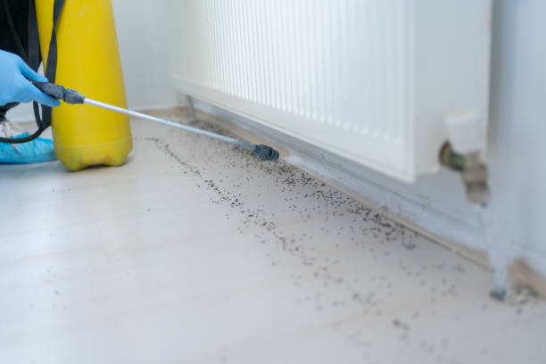 Best Pest Inspection Near Me  in Crestwood, IL