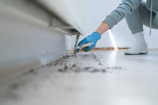 Best Pest Removal Services  in Crestwood, IL